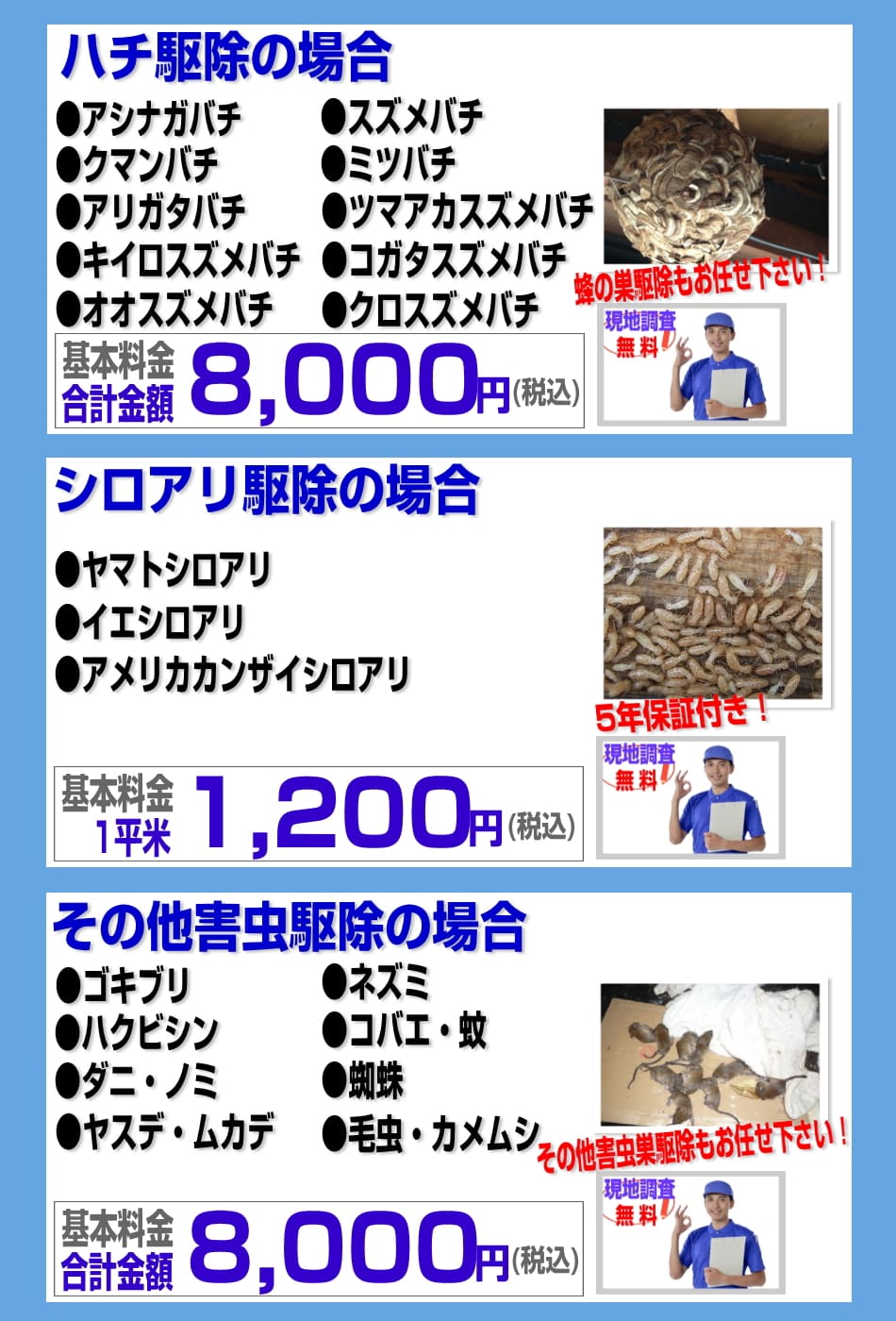 神奈川のハチ駆除8000円、シロアリ駆除平米1200円、その他の害虫駆除8000円より