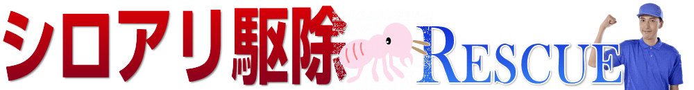 神奈川のシロアリ駆除なら平米1200円