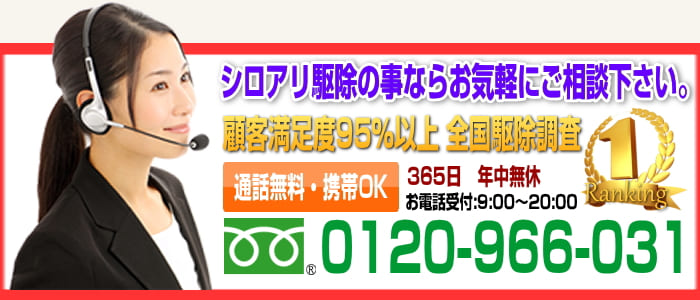 座間市のシロアリ駆除なら平米1200円の地元業者へ！受付連絡先